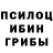 Псилоцибиновые грибы Psilocybe Rob Langley